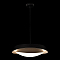 Светильник LOFT IT 10256P Black